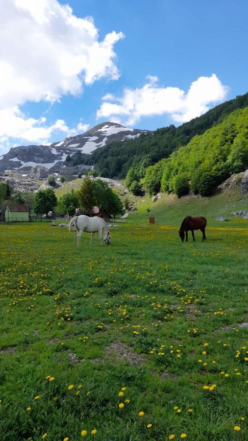 Katun Mokra Accommodation & Horseback Riding Podgoriţa Exterior foto